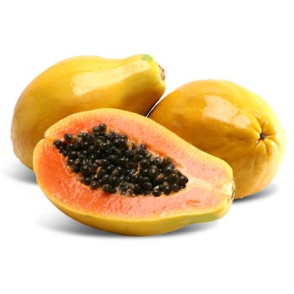 Punica granatum Or Pomegranate Tree