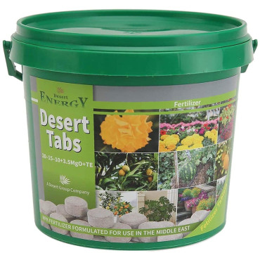 Eco Lab Desert Energy Desert Tabs( 10gm * 100 nos) 1 kg Eco Lab Desert Energy Desert Tabs( 10gm * 100 nos) 1 kg