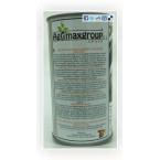 Evergreen Bunching Onions Seeds Tin