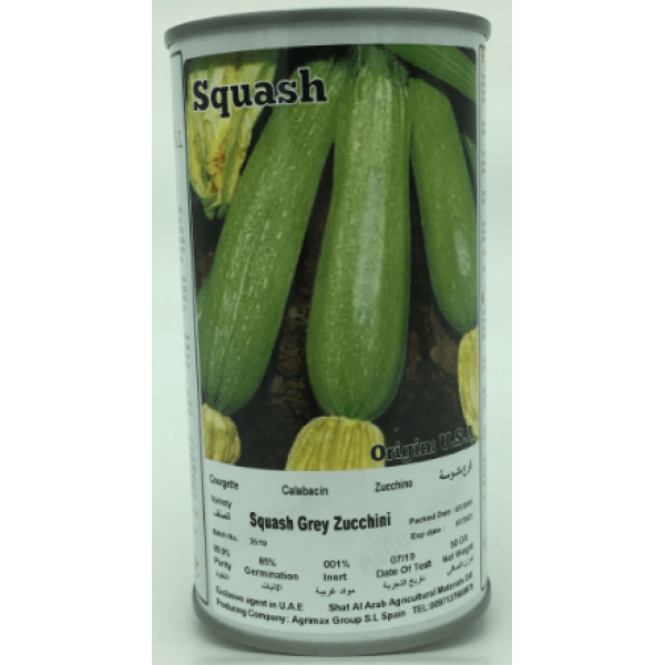 Gray Squash Zucchini Seeds Tin