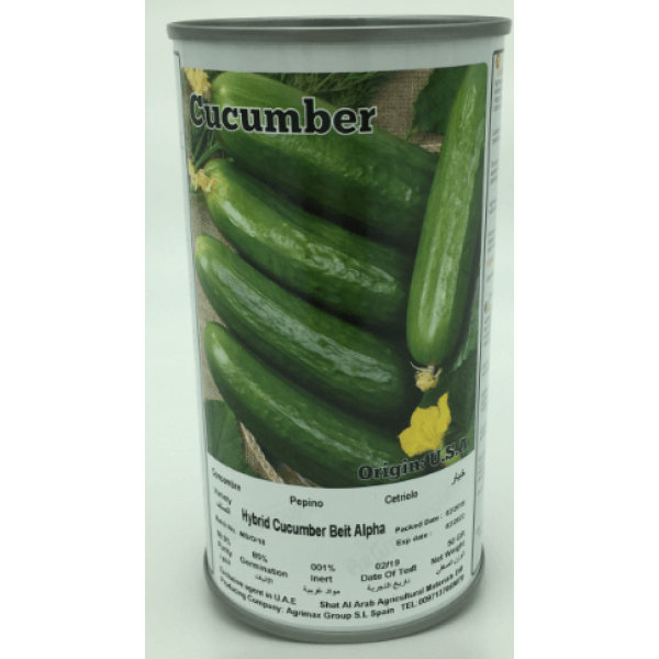 Hybrid Cucumber Beit Alpha Seeds Tin