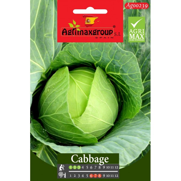 Cabbage Agrimax Seeds
