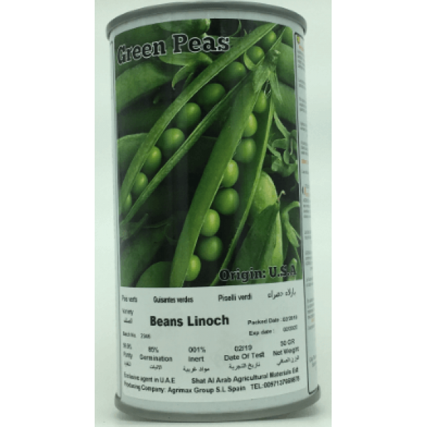 Beans Linoch Seeds Tin