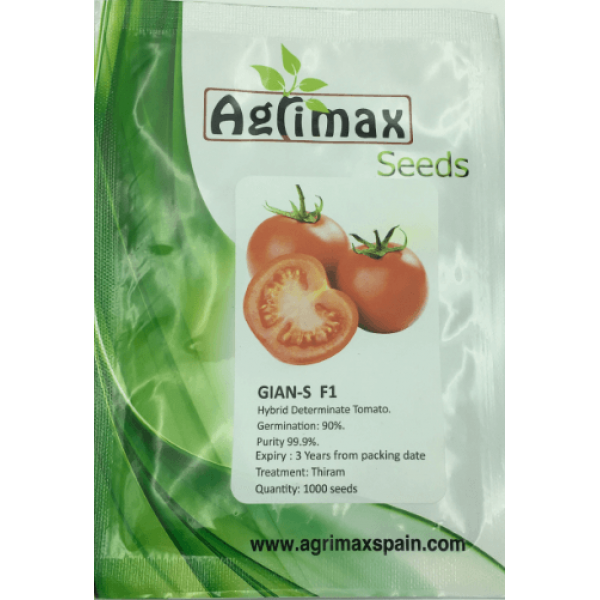GIAN-S Hybrid Determinate Tomato 1000 Premium Quality Seeds
