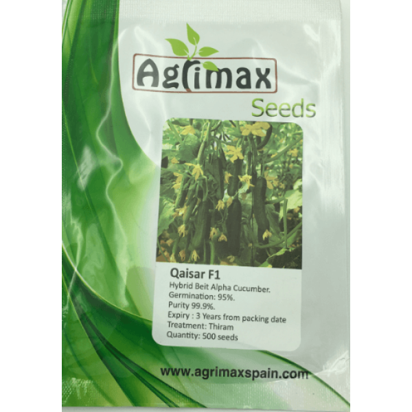 Qaiser F1 Hybrid Cucumber Premium Quality Seeds