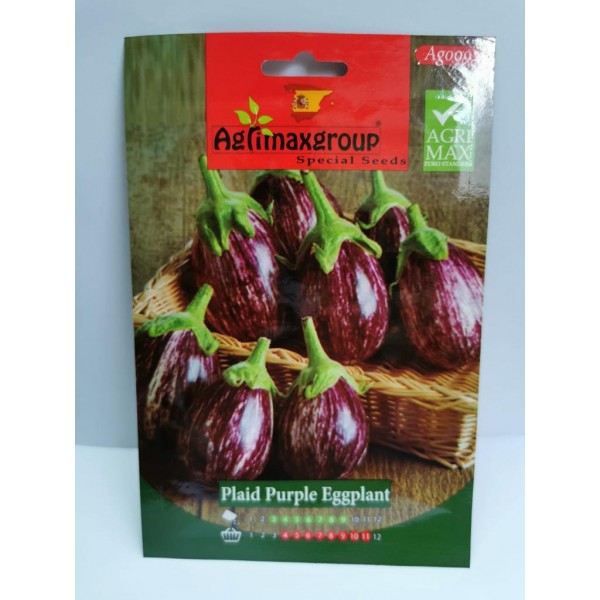 Plaid Purple Eggplant