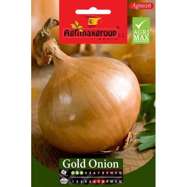 Gold Onion