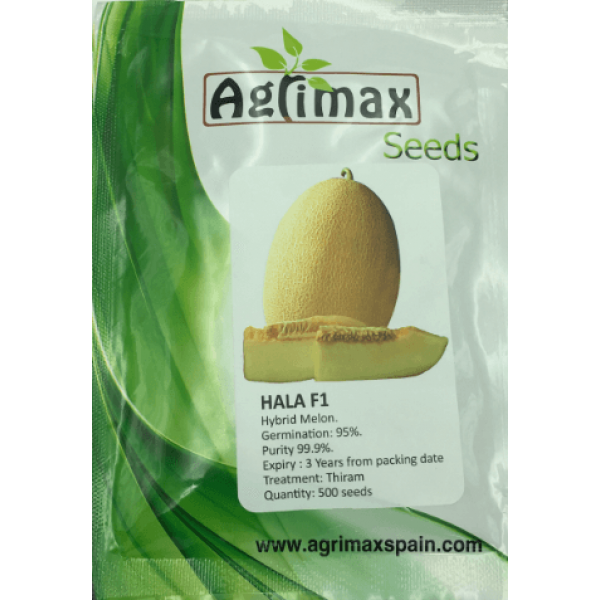 Hala F1 Hybrid Melon Premium Quality Seeds