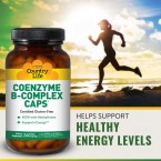 Country Life Coenzyme B Complex, 240-Count