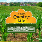 Country Life Vegan D3 5000 IU - 60 Softgels - 100% Plant-derived - Promotes Immune Health & Bones