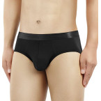DAVID ARCHY 4 Pack Men's Micro Modal Underwear Soft Comfy Briefs