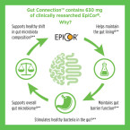Country Life Gut Connection - Energy Balance - 60 ct - Help Improve Microbiome Health - Increases Clean Clear Energy - Supports Alertness