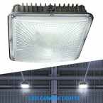 Original LED Canopy Lights Now in UAE