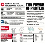 Buy Muscle Milk Genuine Protein Powder Online in UAE