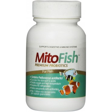 Imagilin Technology, LLC MitoFish Premium Pediococcus Based Probiotics and Prebiotics for Fish, 15 Capsules Per Bottle