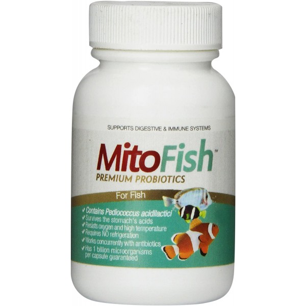 Imagilin Technology, LLC MitoFish Premium Pediococcus Based Probiotics and Prebiotics for Fish, 15 Capsules Per Bottle