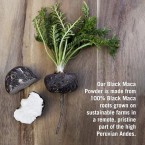 Raw Organic Black Maca Powder Fresh Harvest From Peru Shop Online In UAE