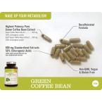 Buy NatureWise Green Coffee Bean Extract with Antioxidants  Weight Loss Supplement Online in UAE