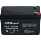 ExpertPower EXP1290 12 Volt 9 Amp Rechargeable Battery