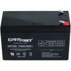 ExpertPower EXP1290 12 Volt 9 Amp Rechargeable Battery
