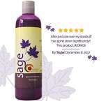Buy maple holistics sage shampoo for anti dandruff – safe for color treated hair (8 fl. Oz.) Imported from USA