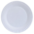 Shop Nicole Home Collection Everyday Dinnerware Paper Plate Imported from USA