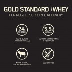 Original GOLD STANDARD 100% Whey Protein Powder in UAE