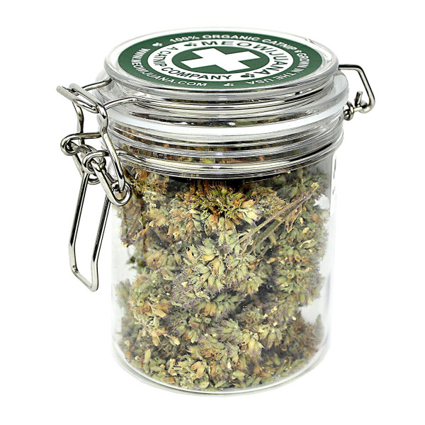 Buy Online Meowijuana Jar Of Buds Imported From ..
