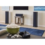 Buy Polk Audio T50 Home Theater And Music Floor Standing Tower Speaker imported from USA (Single, Black)
