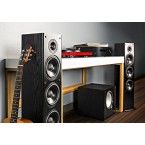 Buy Polk Audio T50 Home Theater And Music Floor Standing Tower Speaker imported from USA (Single, Black)