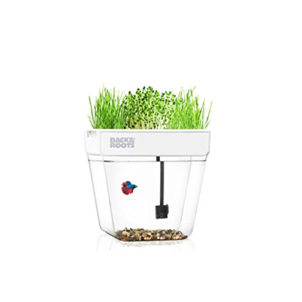 Buy Online Classic Quality Herb Aquarium Starter..