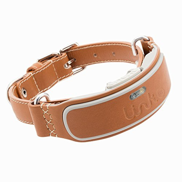Buy Online Import Quality Dog Collar With Locati..