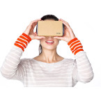 Google 87002823-01 Official Cardboard- 2 Pack, Brown