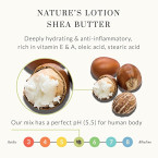 Lavender Body Lotion For Dry Skin Balanced Hypoallergenic Lotion For Sensitive Skin Shop Online In UAE