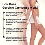 Buy Fitarise Garcinia Cambogia Weight Loss Pills Online in UAE
