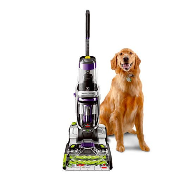 Buy Online High Quality Pet Pro Full-size Carpet..