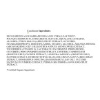 Buy PURA D'OR Advanced Therapy System Shampoo & Conditioner - Increases Volume, Strength and Shine, No Sulfates, Made with Argan Oil, All Hair Types, Men & Women,