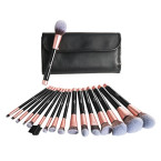BUY ANJOU MAKEUP BRUSH SET, 16PCS PREMIUM COSMETIC BRUSHES FOR FOUNDATION BLENDING BLUSH CONCEALER EYE SHADOW IMPORTED FROM USA
