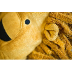 Shop online Import quality Anima face design  Towels for baby  in UAE