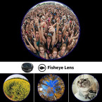 High Quality Phone Photography Kit by Apexel online in UAE
