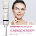 Buy Acne Erasing Emulsion by Evanesce New York Online in UAE