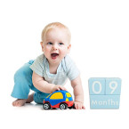 baby milestone blocks baby age blocks for baby pictures shop online in UAE