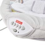 Fisher-Price Sweet Snugapuppy Dreams Deluxe Bouncer