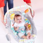 Bright Starts Whimsical Wild Cradling Bouncer Seat with Soothing Vibration & Melodies
