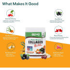 OZiva Plant Based Collagen Builder with Biotin & Silica, Acai Berry, Bamboo Shoot, Sea Buckthorn for Anti Aging Beauty, 0.55 lbs, 100% Natural & Vegan Friendly (250 g)