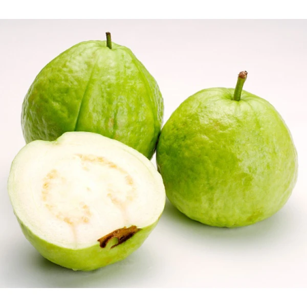 Psidium Guajava Or Guava Tree شجرة الجو�..