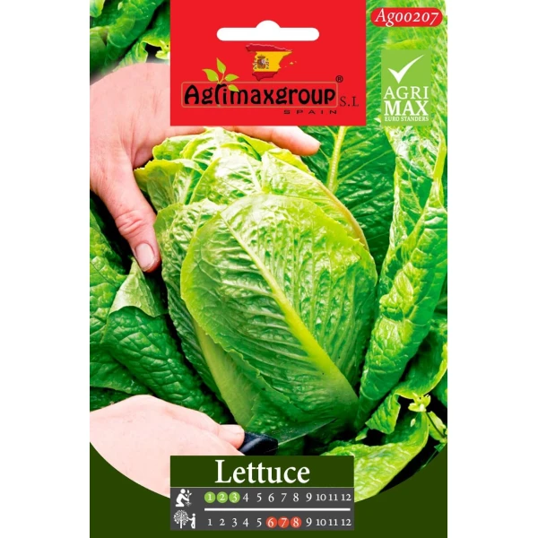 Lettuce Agrimax Seeds