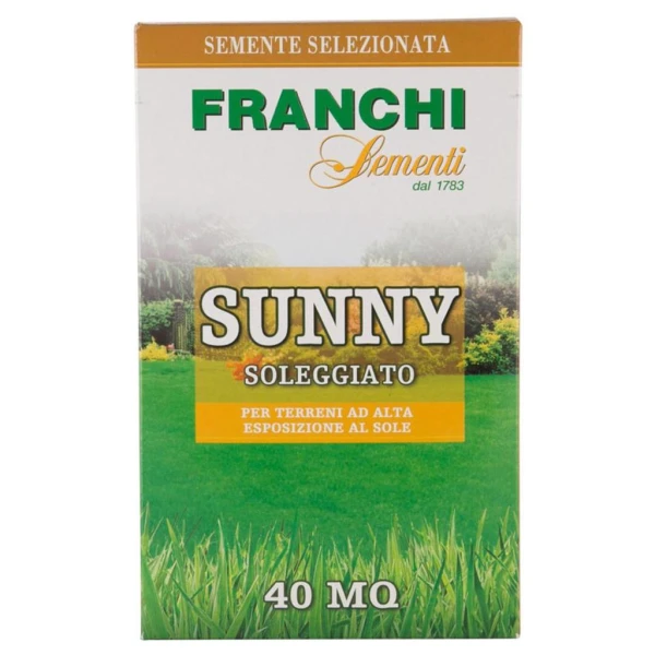 Grass Seeds Sunny Franchi (1 Kg)