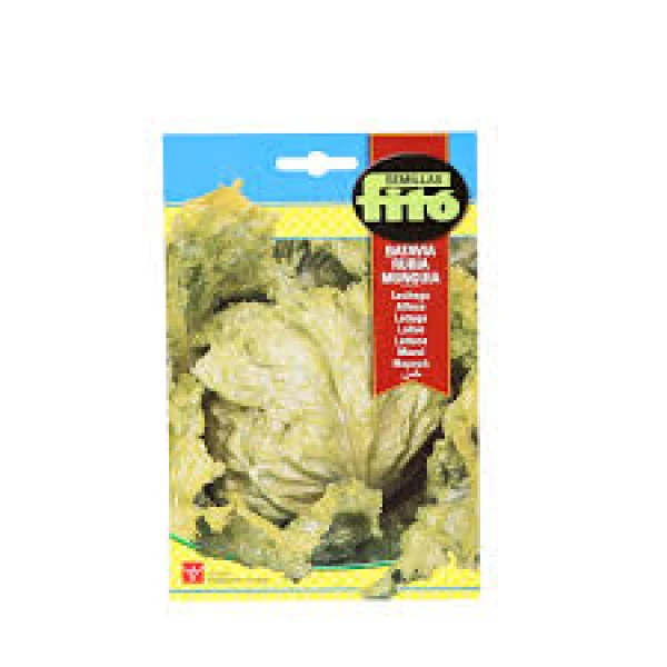 Lettuce Batavia Rubia Munguia 7g – Fito