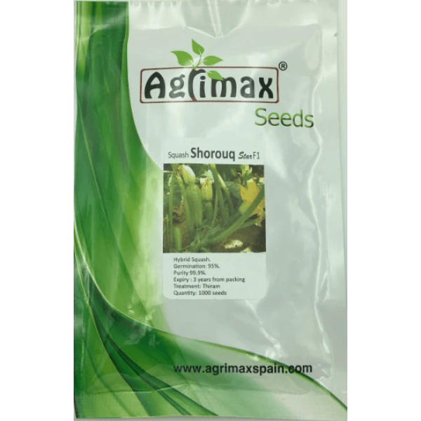 Squash seeds F1 Premium Quality Seeds